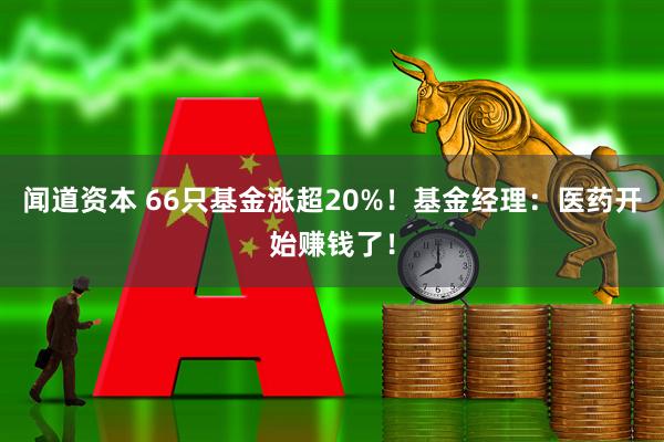 闻道资本 66只基金涨超20%！基金经理：医药开始赚钱了！