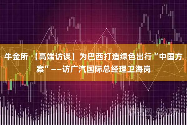 牛金所 【高端访谈】为巴西打造绿色出行“中国方案”——访广汽国际总经理卫海岗