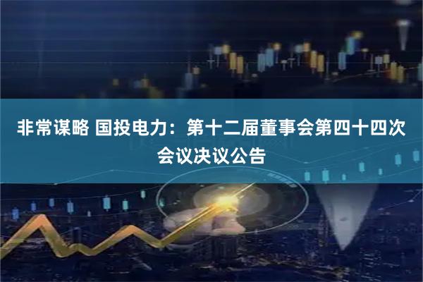 非常谋略 国投电力：第十二届董事会第四十四次会议决议公告