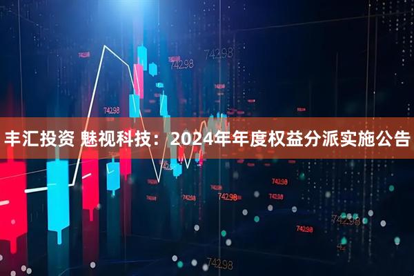 丰汇投资 魅视科技：2024年年度权益分派实施公告