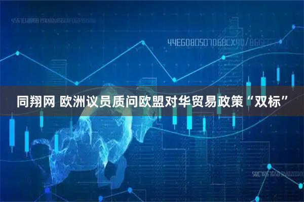 同翔网 欧洲议员质问欧盟对华贸易政策“双标”